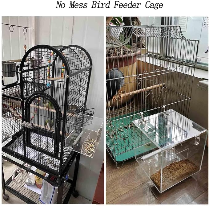 Automatic Acrylic Bird Feeder for Cage, No Mess - Small Bird Parrots, Canary, Parakeet, Budgerigar, Crested Myna, Cockatiel (XL)