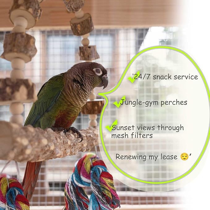 Bird Perch Swing, Large Natural Wood Parrot Toys, 1PC Parrot Swing and 2PCS Perches, Bird Cage Accessories