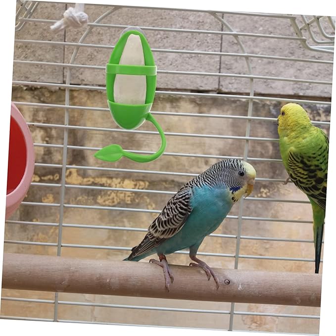 BESPORTBLE 1set Cage Bird Feeder Cuttlebone Stand Bird Cage Accessories for Parrots Snails and Pets Safe Non- Design for Easy Feeding and Entertainment