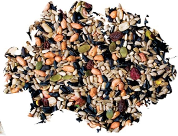 Wild Delight 366050 Nut N' Berry Bird Food, 5 lb, Multi (Pack of 2)