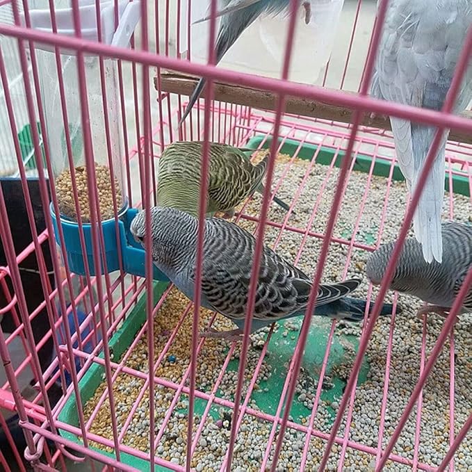 Youngy Pet Bird Plastic Auto Feeder Parrot Cockatiel Feeding Water Drinker Cup Bowl Parrot Cockatiel Feeding Water Drinker Cup