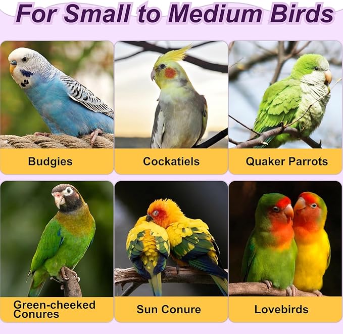 3-Ring Bird Wooden Swing with Bell Climbing Toy Chewable Cotton Rope Perch for Cage Cockatiels Budgies Parakeets Lovebirds 17 Inch