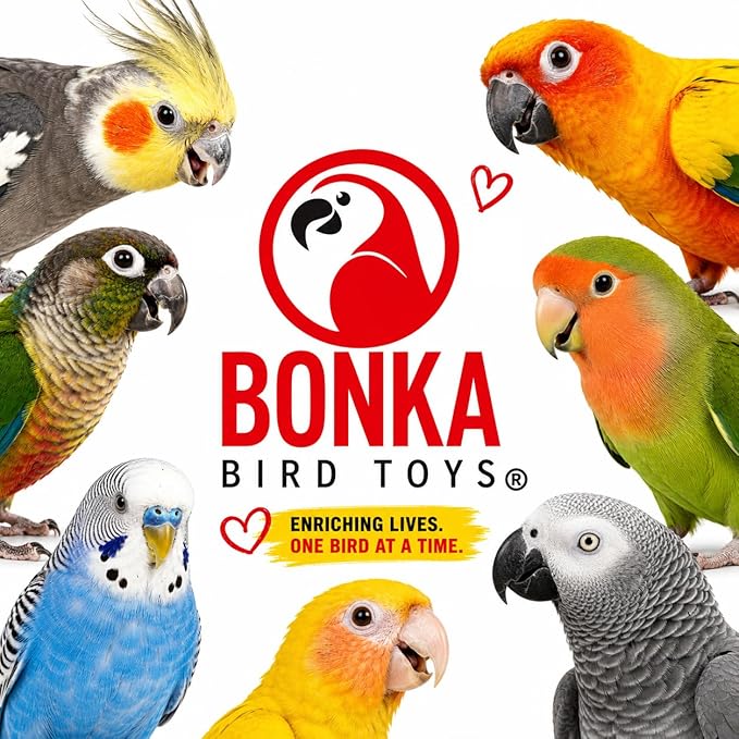 Bonka Bird Toys 3874 Duo Take Out Small Medium Bird Toy Oyster Pail Treat Box Foraging Paper Chew Shred Cockatiel Parakeet Conures and Other Similar Birds
