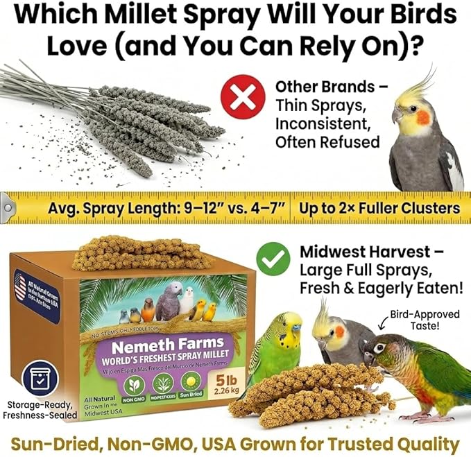 Nemeth Farms Spray Millet - Edible Tops Only, Non-GMO and Sun-Dried - 5 lbs for Parakeets, Conures and Cockatiels