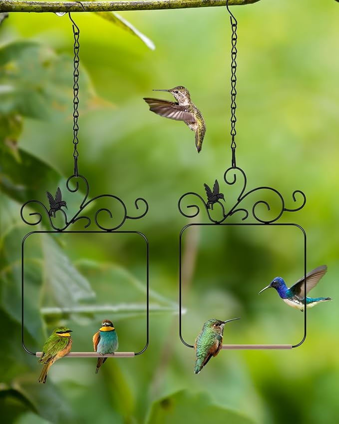 PACETAP Hummingbird Swings and Perches Metal Frame 2 Pack, Wild Bird Swing Outdoor Bird Perch with Wooden Dowel and 2 Hanging Chain for Indoor, Outdoor, Trunk, Lawn, Patio, Garden (2 Hummingbirds)