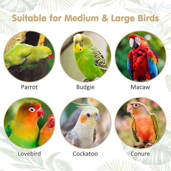 PINVNBY 3 Sizes Natural Parrot Perch Grape Wood Bird Stand Pole Parakeet Paw Grinding Fork Chewable Climbing Branches Toy Bird Cage Accessories for Budgies Conures Cockatiels Lovebirds