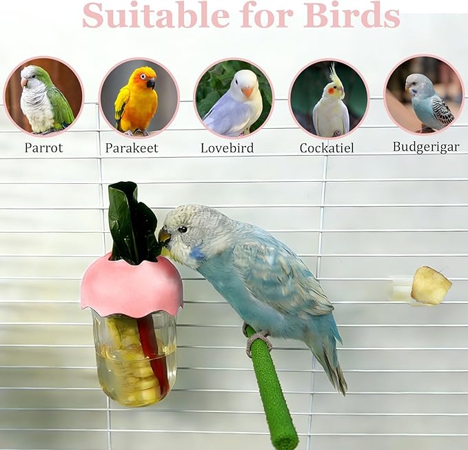 7 PCS Bird Cage Feeder for Vegetable Millet Holder Cage Accessories with Parrot Fruit Forks for Budgie Cockatiel Lovebirds Parrot (Pink)
