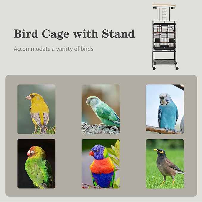 51" Small Bird Cage with Stand,Parakeet Cage, Parrot cage with Parakeet Toys, Bird Cage Accessories for Lovebirds Cockatiel Conure Finch Canary Budgie