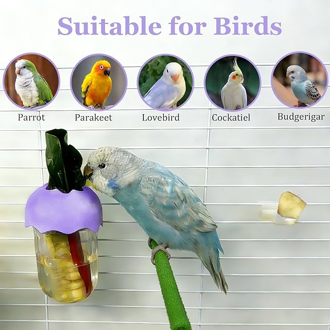 7 PCS Bird Cage Feeder for Vegetable Millet Holder Cage Accessories with Parrot Fruit Forks for Budgie Cockatiel Lovebirds Parrot (Purple)