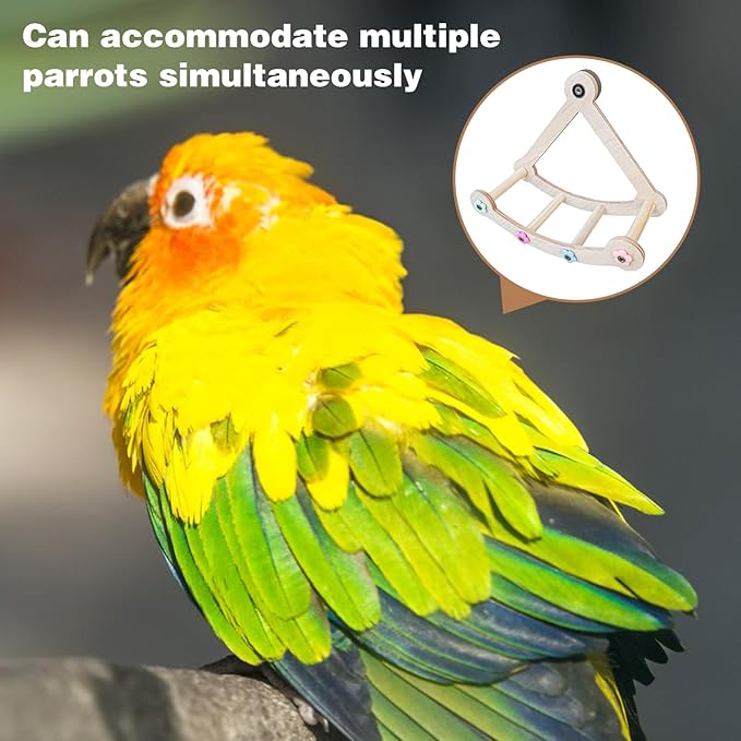 Bird Stand Perch,Interactive Rocking Parakeet Perch, Wooden Exercise Wheel Cockatiel, Parrot Swing,Bird Playground Play Stands for Conure Budgie(A)