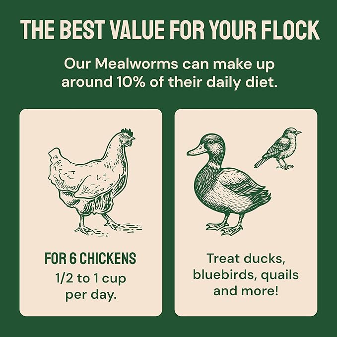 Hatortempt Bulk Dried Mealworms - 10 Lb Bag - Dried Mealworms for Chickens, Ducks & Wild Birds - High-Protein Chicken Feed & Bird Food