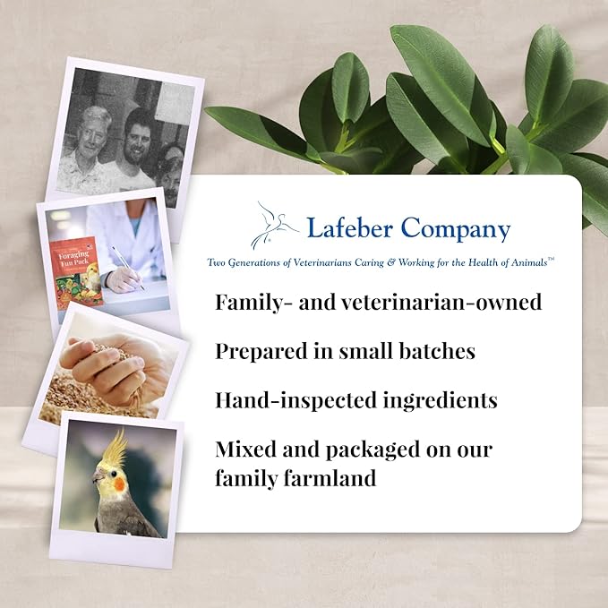 LAFEBER'S Foraging Fun Pack Pet Bird Food, Made with Non-GMO and Human-Grade Ingredients 5 oz (Cockatiel)