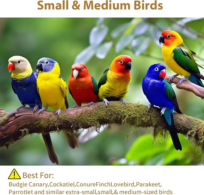 16 Pack Natural Balsa Wood Bird Chew Toys - World's Softest Wood, Safe Chewing Toys for Parakeets, Cockatiels, Lovebirds & Small Medium Birds. (Medium) (Medium 1)