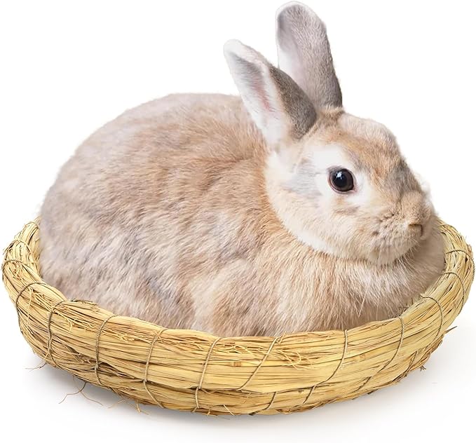 Eorbow 6 Packs Woven Straw Bird Nests, 8" Handmade Flat Base Spawning Nest, Small Animal Breeding Bed Hatch House Cage Accessories for Dove Pigeon Parrot Cuckoo Sparrow Rabbits Chinchillas Hamster