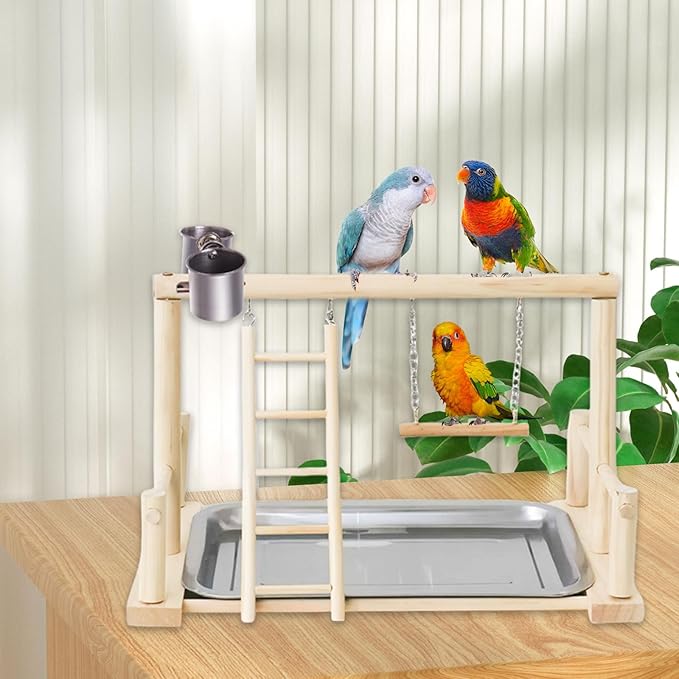 Bird Playground, Natural Wood Bird Perch Stand with Removable Tray and 2 Stainless Steel Feeder Cups, Parrot Playstand Bird Cage Toys for Conure Parakeet Cockatiel Parrot (B)