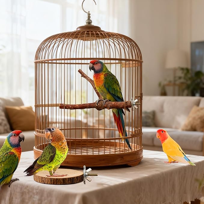 8 Pack Natural Wood Bird Perches, Parrot Perch Stand Bird Cage Accessories for Budgerigar Cockatiels, Conures, Lovebirds (M)