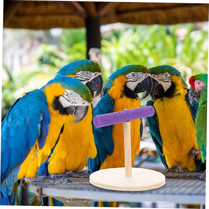 VANZACK Decorative Parrot Perch Platform Natural Wooden Bird Stand for Parrots Parakeets Sturdy Durable Accessory to Enhance Pet Environment and Curiosity