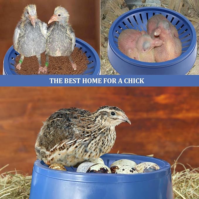 10 Pcs Plastic Pigeon Nest Bird Nest Bowls Pigeon Nest Bowl Breeding Hatching Nest for Pigeons Quails Breeding Hatching (Blue1)