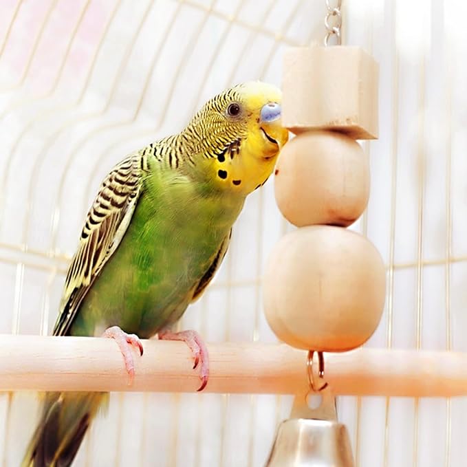 2PCS Bird Perches for Cage Wooden Parrot Perch Stand, Parrot Perches Toys Wood Perch with Different Widths Bird Cage Toys Cages Accessories for Macaws, Small Parakeets, Conures, Budgies, Finches