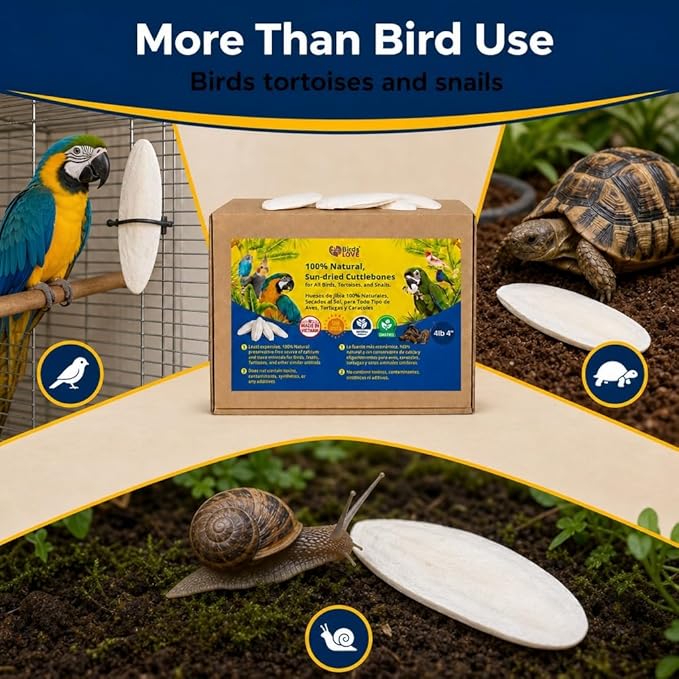 Birds LOVE 3.5-4ā³ Cuttlebones for Birds ā 100% Natural Sun-Dried Calcium Carbonate Mineral Supplement ā for Parakeets, Budgies, Cockatiels, Finches & Canaries ā 4 lb with Holder ā Made in Vietnam