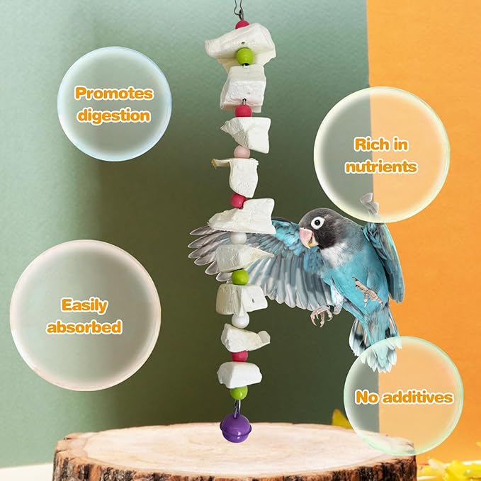 PINVNBY 2 Pack Bird Toys with Cuttlebone Calcium Parakeet Chewing Toy Hanging Bird Beak Grinding Stone Cage Accessories for Parrot Budgie Lovebird Cockatiel (Small)