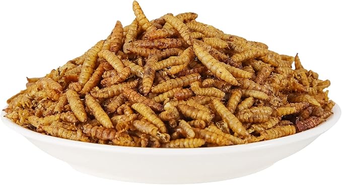 5LBS Black Soldier Fly Larvae for Chickens - Premium Dried BSFL Treats with 52% Protein & Calcium Boost - Superior Alternative to Mealworms - Resealable Bulk Bag for Hens & Bluebirds