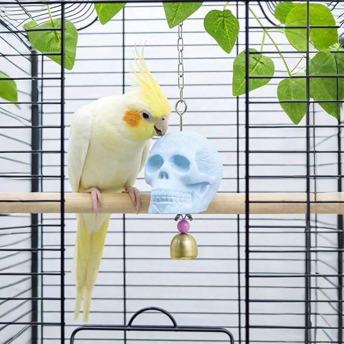 Skull Bird Toy - Natural Calcium Mineral Beak Grinder with Jingle Bell - Small Bird Cage Accessory for Parakeets, Budgies, Cockatiels, Lovebirds, Finches