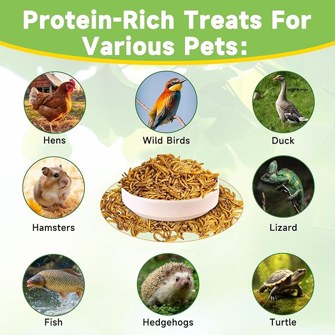 MTART 600g Dried Mealworms Treat for Chicken, 100% Natural Non-GMO High Protein Organic Chicken Feed for Birds, Ducks, Layer Hens