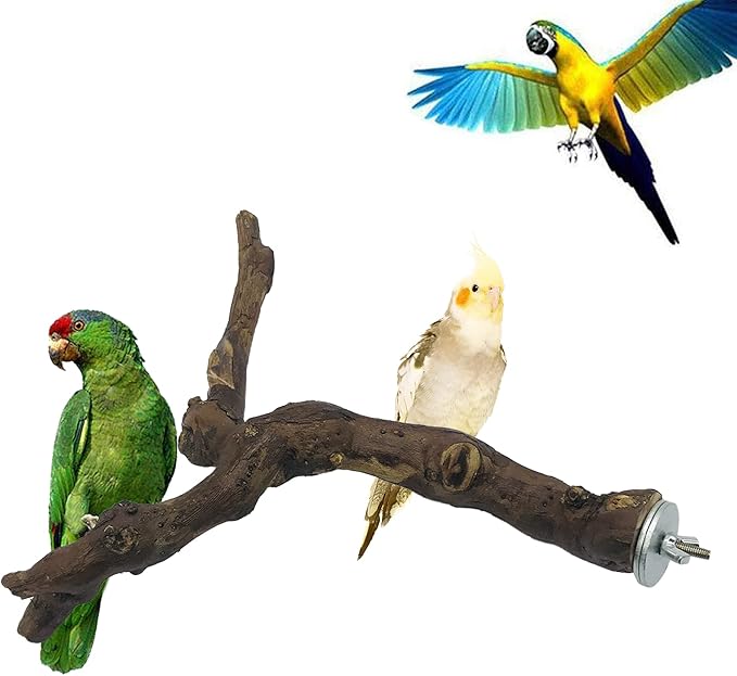2 PCS Natural Grape Stick Fork Bird Perch Bird Standing Stick Chewing Bird Toys Natural Grapevine Bird Cage Perch for Parrot Cages Toy for Cockatiels, Parakeets, Finches