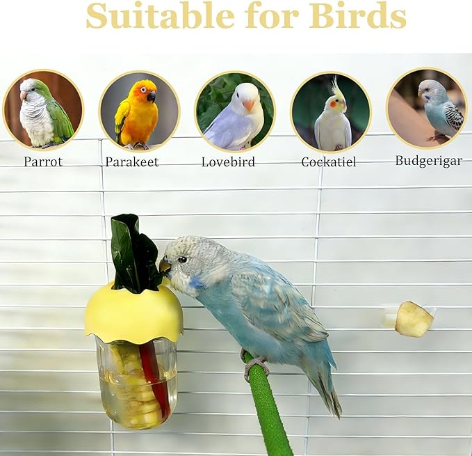 7 PCS Bird Cage Feeder for Vegetable Millet Holder Cage Accessories with Parrot Fruit Forks for Budgie Cockatiel Lovebirds Parrot