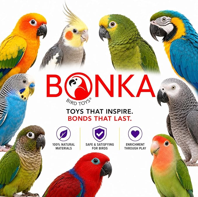 Bonka Bird Toys 1241 Double Helix 11" High by 9" Wide Parrot Toy, Amazon, African Grey, Conure, and Similar Sized Birds