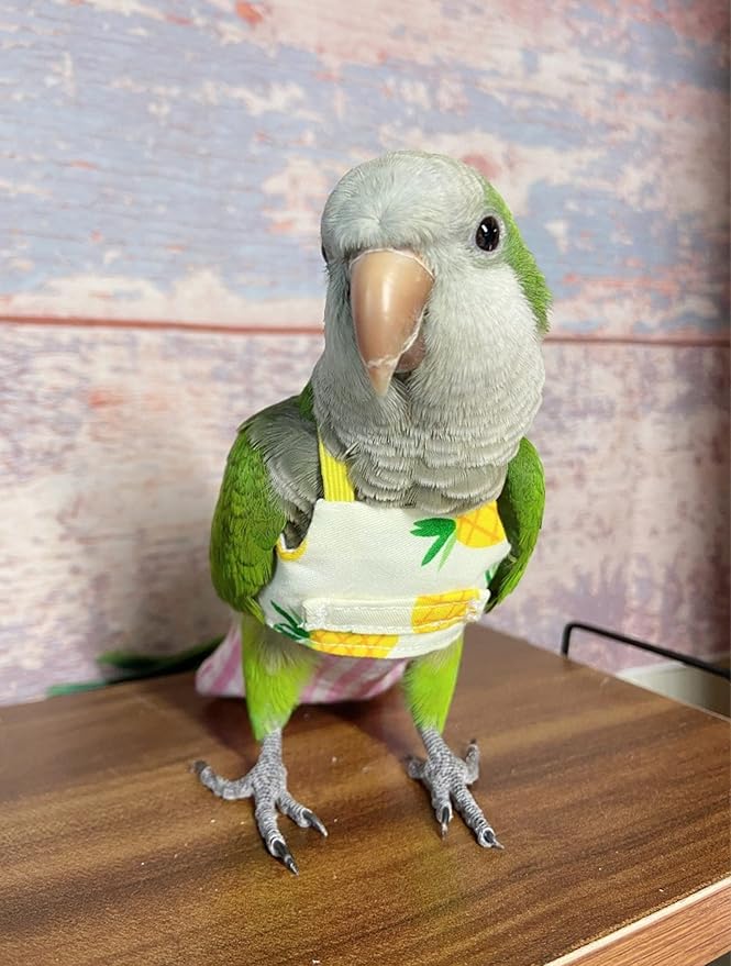 Bird Flight Harness Vest, Parrot Suit with Leash for Cockatiels Conures Budgies, Flying Clothes Rope and Handle Outdoor Activities Training (Yellow Vest Harness, M), Medium