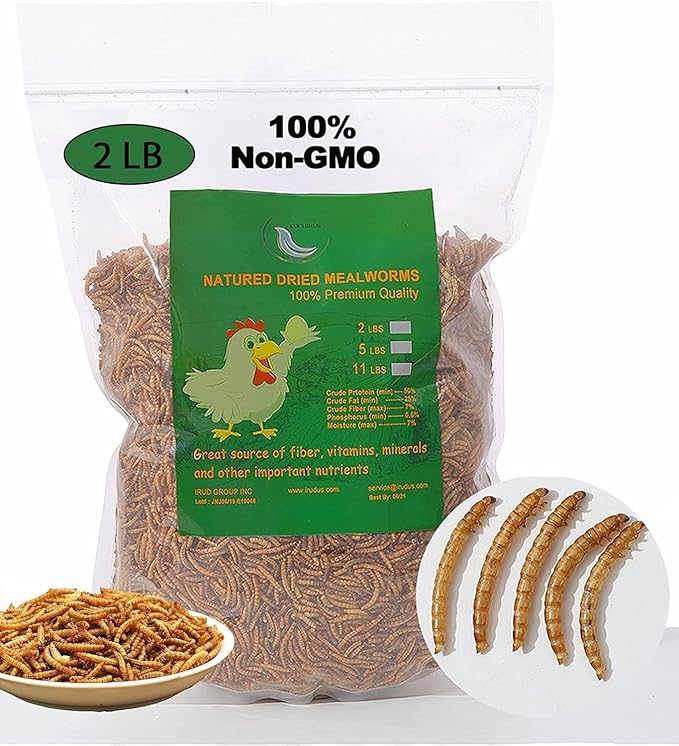 2LBs Non-GMO Dried Mealworms,High-Protein Larvae Treats Feed Molting Supplement for Birds Hens Ducks etc,Large Bulk Meal Worms Birds Chicken Food