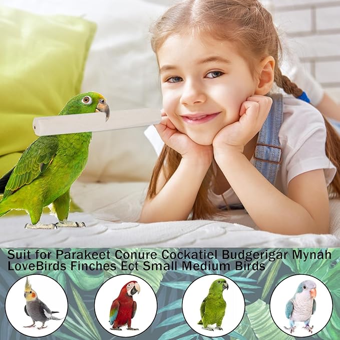 10 Pieces Bird Parrot Chew Toy Sola Sticks, Natural Parrot Soft Chew Shredding & Foraging Toy, Bird Foot Toys for Cockatiel Conure Quaker Budgie Parakeet Bunny Guinea Pig Chinchilla Rabbit