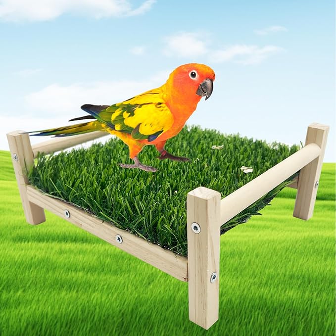 Bird Toy with Foraging Mat, Parrot Forage Toy Bed, Parrot Grass Perch Hammock Bed, Bird Perch Conure Platform Grass Forage Toy for Parakeet, Cockatiel, Lovebird, Budgie