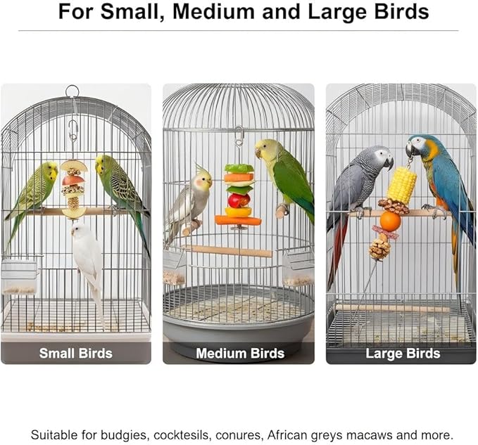 3P Stainless Steel Bird Cage Food Holder & Foraging Toy for Parakeets, Budgies, Macaws - Fruit & Vegetable Skewer Feeder