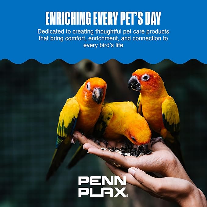 Penn-Plax Bird-Life E-Cuttlebone Original, 1 Pk (2 Counts) - Durable, Less Brittle Cuttlebones Enriched with Omega 3, Honey & Vitamin B1 - Easy Mounting, Cage Clip - Great for All Bird Sizes - White