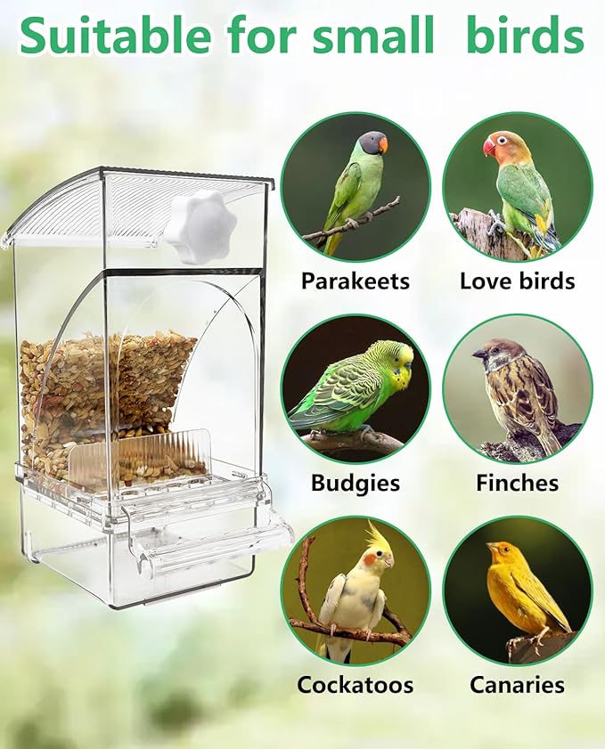 Hamiledyi No Mess Bird Feeder Automatic Transparent Acrylic Parrot Seed Food Container with Perch Bird Cage Accessories for Parakeet Finch Lovebirds Budgies Canary
