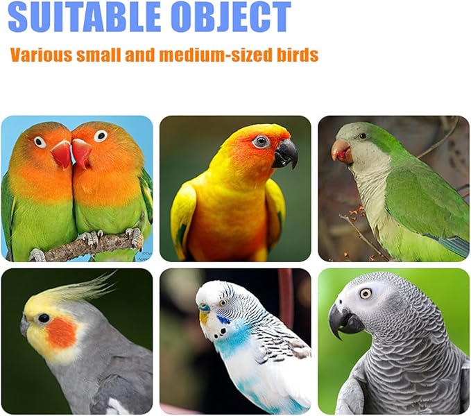 Bird Perch Rough-surfaced Nature Wood Stand Toy Branch for Parrots to Keep Nails and Beaks in Top Condition - Safe Easy to Install Bird Cage Accessories. 8 inch (Gray)