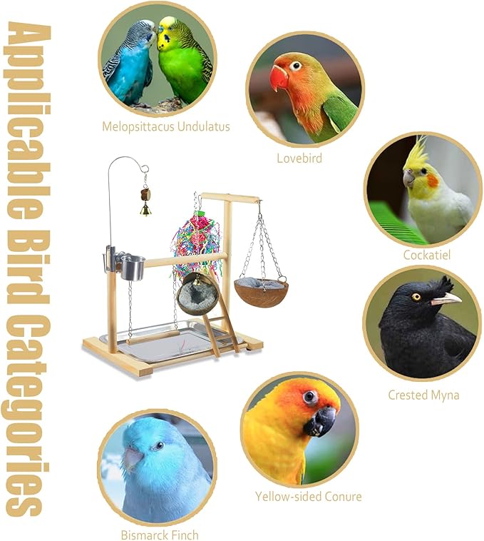 Bird Stand Fun Straw Bell Toys,Parrot Wooden Platform Stand with Perch Ladder, Swing, Bell & Feeder