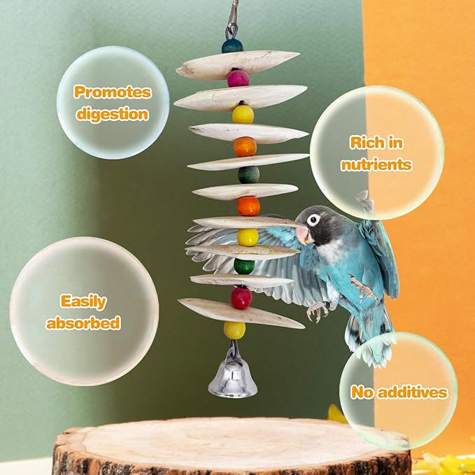 PINVNBY 2 Pack Natural Bird Toys with Cuttlebone Calcium Parakeet Chewing Toy Hanging Bird Beak Grinding Stone Cage Accessories for Parrot Budgie Lovebird Cockatiel (Large)