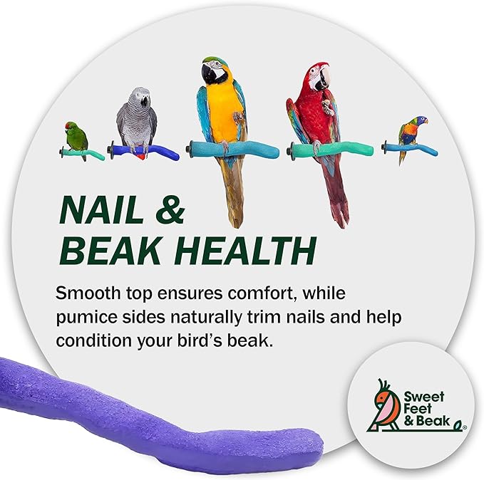Sweet Feet & Beak Safety Pumice Bird Perch, Medium 1-1/4" X 12", Lightweight Grinding Bird Perches for Cage - Bird Nail Trimming Perch for Healthy Beak & Feet - Multi-Size & Color Parrot Stand - Blue