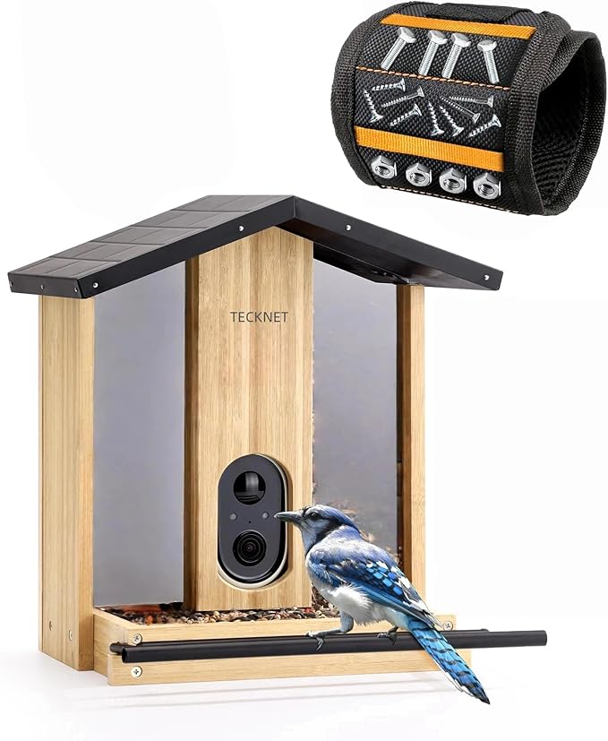 TECKNET Alarm