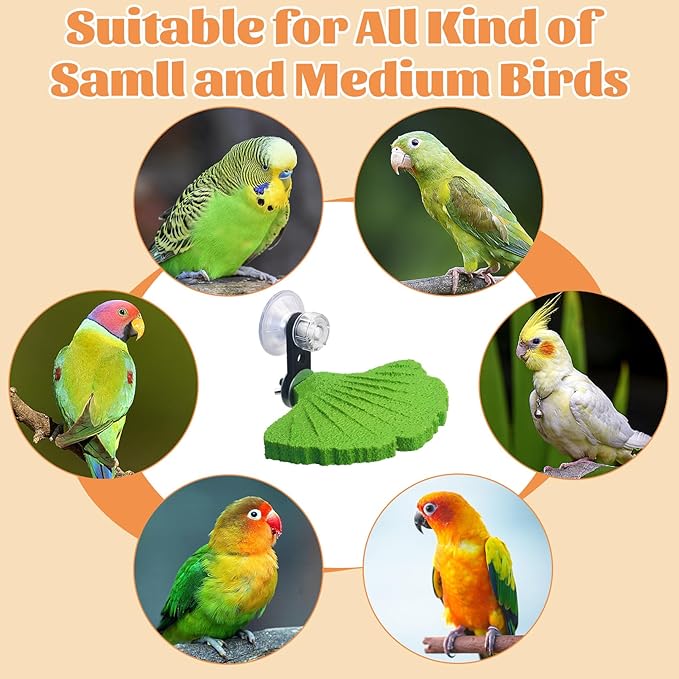 3PCS Bird Beak Grinding Stone with Suction Cups for Small Birds Foot Claws Trimmer Bird Stand Platform Parakeet Cage Perch Parrot Cage Accessories for Indoor Window Viewing (Green)