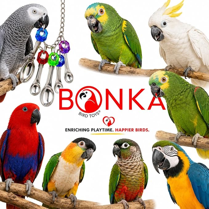 Bonka Bird Toys 1969 Spoon Delight Parakeets Cockatiel Conure Interactive Hanging Stainless Steel Spoons Chewing Foraging Enrichment Cage Medium Large Parrots 12.5" Chew Colorful Parts