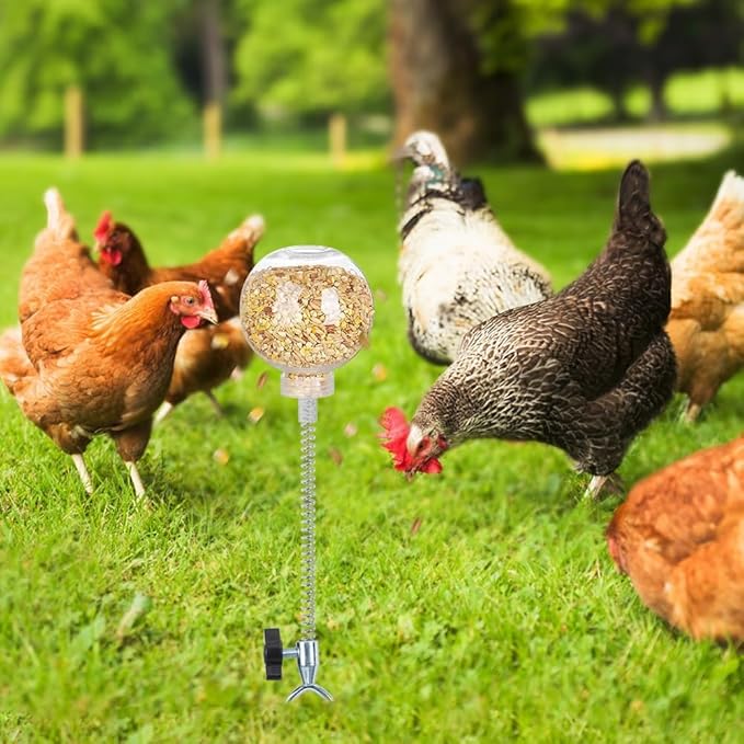 Kalekey 4 Pack Chicken Feeding Toy, Chicken Enrichment Toys with Spring and 11" Metal Ground Stake, Chicken Treat Dispenser Peck Toy Boredom Busters for Hens, Ducks, and Parrots