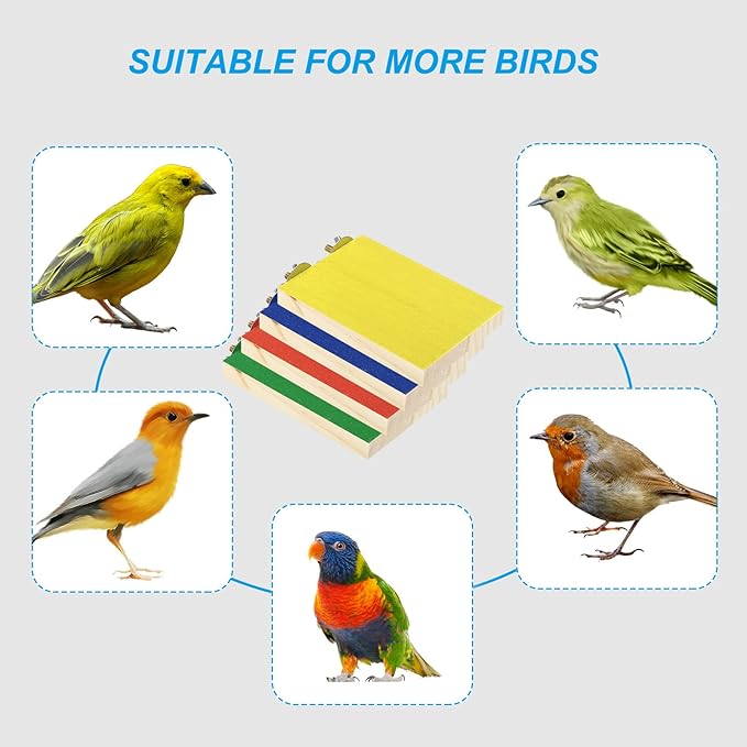 PATIKIL Bird Perch Stand, Parrot Stand Platform Playground Paw Grinding Clean for Parakeet Cockatiel Cage Accessory, Green