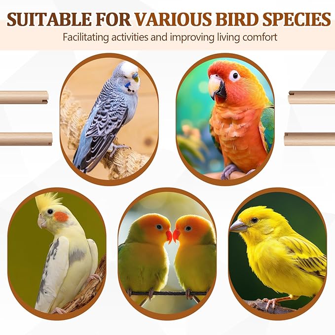 Sintuff 8 Pcs Bird Perches for Cage Accessories, Wooden Perch Rods Replacement with Double Head Slots, 0.6 Inch Diameter Natural Wood Stand for Parrot Macaw Cockatoo Parakeet (15 Inches)