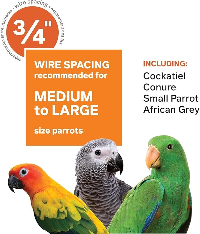 Prevue Hendryx Pet Products Wrought Iron Select Bird Cage 3153SAGE, Sage Green, 30-Inch by 22-Inch by 63-Inch