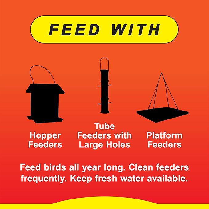 Wild Delight Advanced Formula Sizzle N' Heat Wild Bird Food, Spicy Bird Seed to Deter Squirrels, 14 lbs